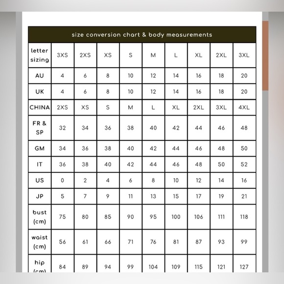 BNWT Princess Highway Folk Art Embroidered Denim Belted Dress - Picture 16 of 16